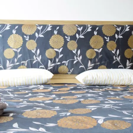 Appartement Bellavista Capannori